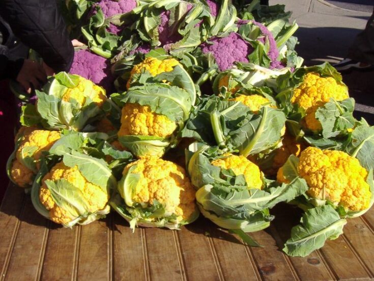 Yellow Cauliflower
