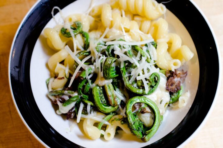 Morel Mushrooms & Fiddlehead Ferns