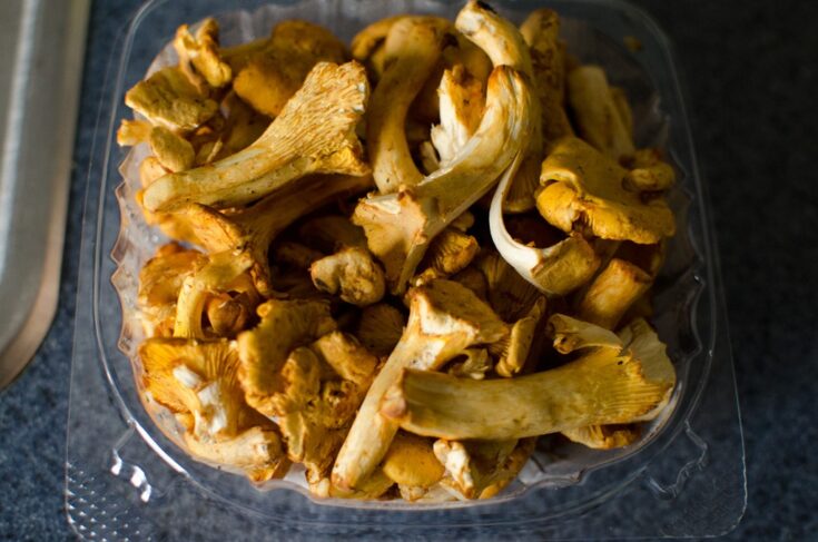 Mushrooms