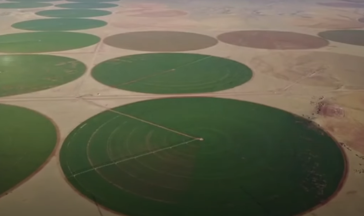 Top 9 Largest Farms on the Planet - The Call Of
