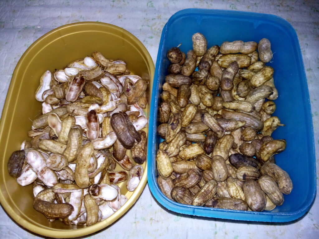 Boiled Peanuts
