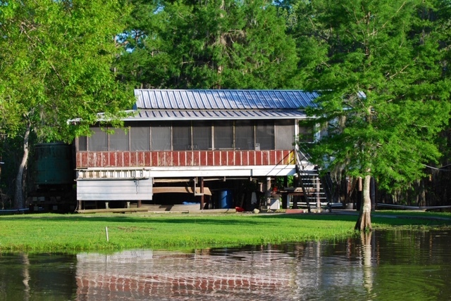 A hidden bayou airboat tour that goes deeper than the tourist routes