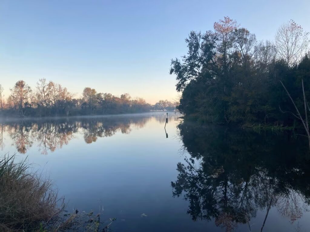 Wander the “Labyrinth of Ancient Oaks” in the City’s Secret Wild Garden