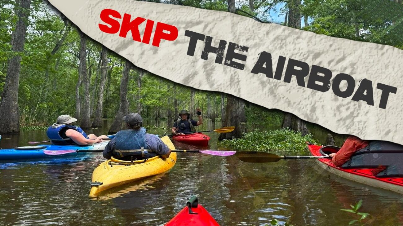 4 “Deep Delta” Water Excursions That Trade Airboats for Quiet Ecological Immersion