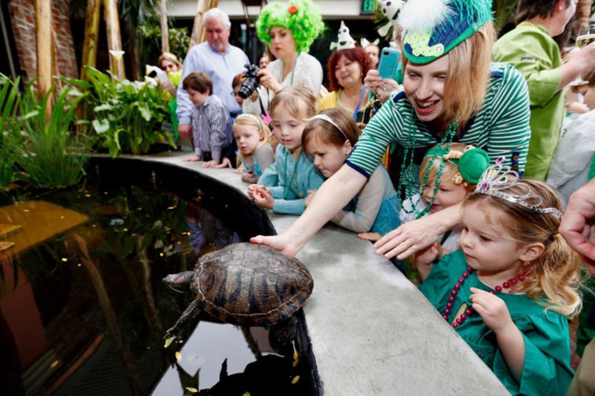 Ten Turtles Lead New Orleans’ Slowest Second Line