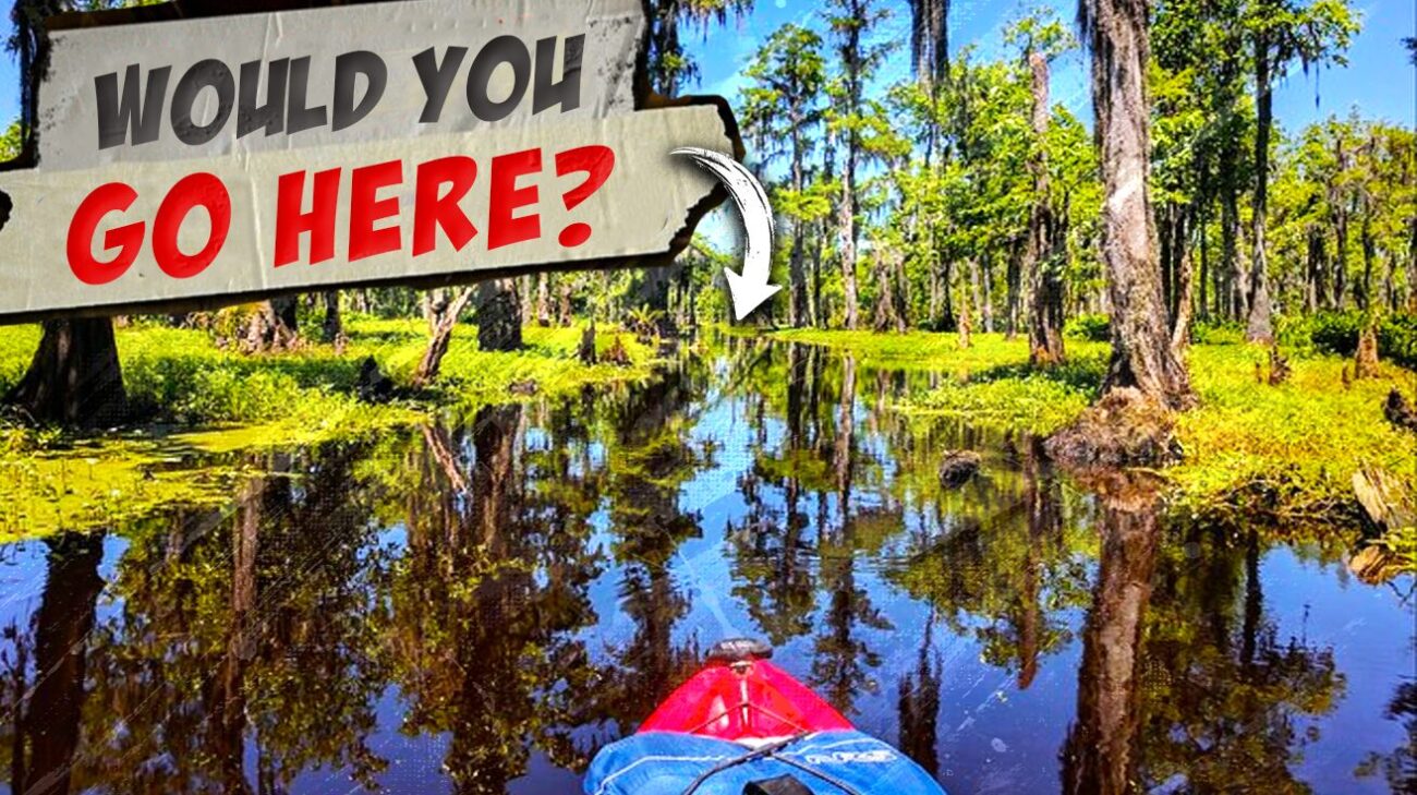 3 “Deep Swamp” Excursions That Avoid the Tourist Traps