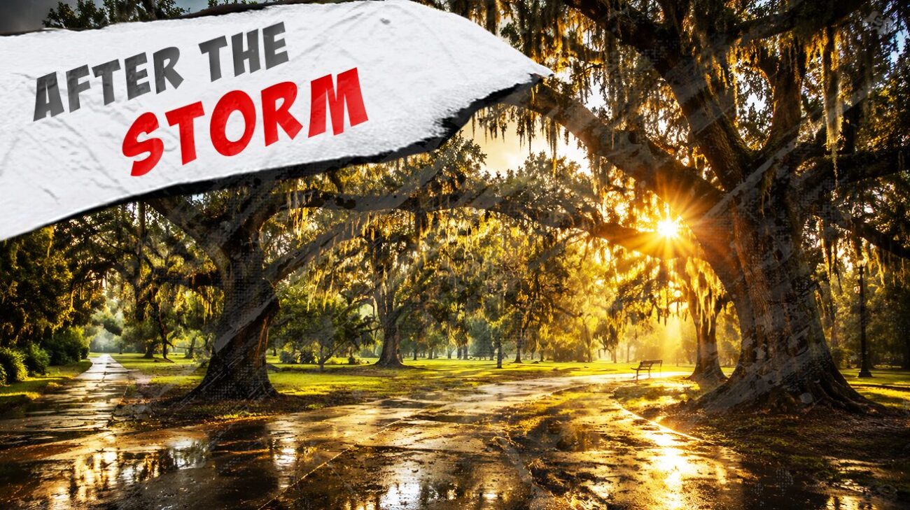 4 Late-August Thunderstorm Drives Under the Oak Canopy of Esplanade Avenue