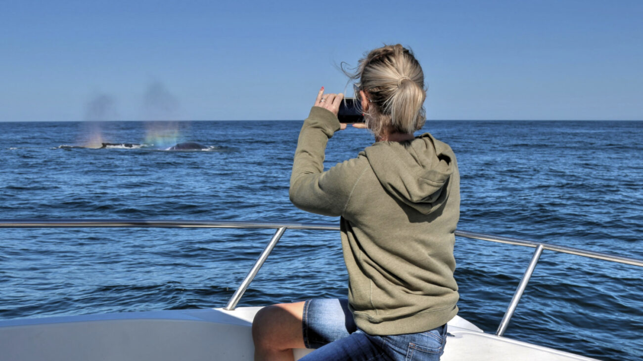 California’s Quietest Beach Town Has Hot Springs, Whale Watching, and Earned Its Ranking